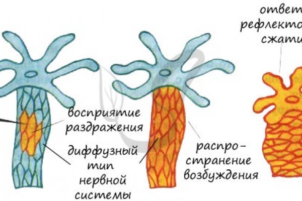 Ссылка на мегу даркнет