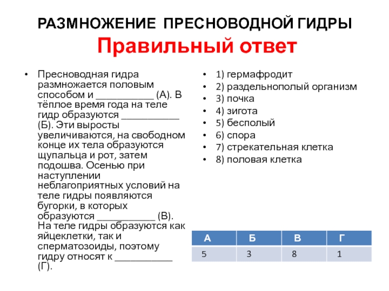 Мега зеркало сайта работающее